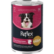 Die Grup Tr Plus Sos Içinde Et Parçacıklı Kuzu Etli ve Tatlı Patatesli Yetişkin Köpek Konservesi 400 gr (12 Adet)