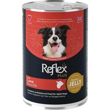 Die Grup Tr Plus Jöle Içinde Et Parçacıklı Kuzu Etli Yetişkin Köpek Konservesi 400 gr (12 Adet)