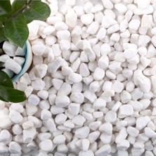 Die Grup Tr Dolomit Taş 15 kg 1-2 cm Beyaz Saksı Dibi Dekoratif Teraryum Taşı Bahçe