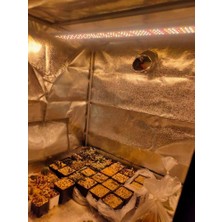 Grow Light LM301H Quantum LED Panel, 80W, 216 Led'li, 660NM Kırmızı,full Spektrum Bitki Yetiştirme Led, Işık Büyümeye Yol Açtı,sera Lambası