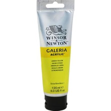 Mbb E-Ticaret Wınsor Galerıa 120ML Akrilik Boya 346