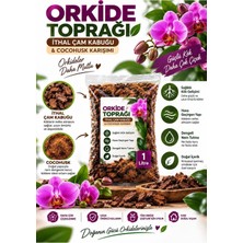 Nexvoria Orkide Toprağı 1 Litre – Ithal Çam Kabuğu & Coco Husk Karışımı – Hava Geçirgen Orkide Yetiştirme Toprağı