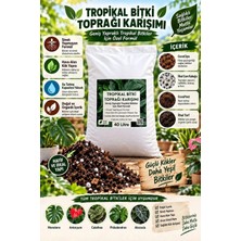 Nexvoria Tropikal Bitki Toprağı 40 Litre – Monstera, Philodendron, Alocasia ve Salon Bitkileri Için Toprak Karışımı