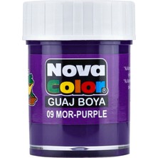 Mbb E-Ticaret Nova Color Guaj Boya Mor Şişe NC-111