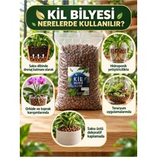 Nexvoria Kil Bilyesi 10 Litre – Saksı Drenajı, Hidroponik Tarım ve Dekoratif Bitki Malzemesi