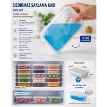 Harwell 500ML Saklama Kabı/buzluk Düzenleyici/ekonomik Saklama Kutusu-