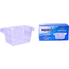 Ti-Sert SY029 Ikili Balık Yavruluğu 19.5 x 10 cm