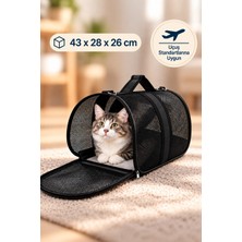 Kurtbay Şekil Kedi Köpek Askılı Taşıma Çantası Yırtılmaz Fileli Kabin Boy Seyahat ve Uçak Taşıma Çantası