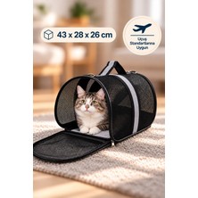 Kurtbay Şekil Kedi Köpek Askılı Taşıma Çantası Yırtılmaz Fileli Kabin Boy Seyahat ve Uçak Taşıma Çantası