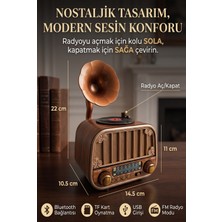 Freedoom Style Gramofon Retro Vintage Nostaljik Radyo - Bluetooth Hoparlör & Fm Radyo