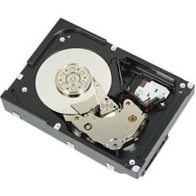 Dell 1.2tb Sas 2.5 Inç 1200 GB Sabit Disk - Dahili Hard Disk (2.5 Inç, 1200 Gb, 10000 Rpm)