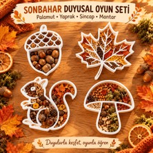 Major Hobi Sonbahar Duyusal Oyun Tepsisi 4lü Set 7-12 cm – Palamut Yaprak Sincap Mantar