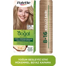 4 Adet Palette Kalıcı Doğal Renkler Saç Boyası 8-16 Küllü Sarı