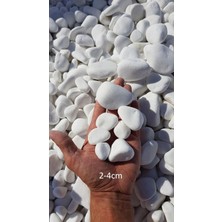 Burada Bulabilirsin Asenya Mezar Taşı 11 kg 2-4 cm Beyaz Dolomit Taş Dere Çakıl Taşı Bahçe Süs Taşı Mezar Süsleme Taşı