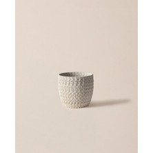 Madame Coco Dolly Saksı - Ekru - 16 cm Ekru