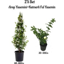 Nura Botanik Kokulu Bahçe Seti, Arap Yasemini + Katmerli Ful Yasemin Çiçeği Fidanı, 2'li Set