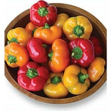 Gardenbox Saksılık Nadir Peynir Biberi Tohumu, Biber Tohumu, 5 Tohum