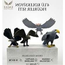 Burada Bulabilirsin 4'lü Vahşi Kuş Figür Seti, Kartal ve Baykuş Temalı, 9-11 cm