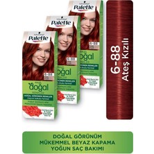 Palette Doğal Renkler Saç Boyası 6-88 Ateş Kızılı x 3 Adet