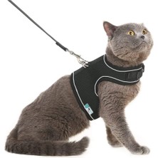 Bypet Yeni Nesil Nefes Alabilen Kedi Göğüs Tasması Seti (Small, Siyah)