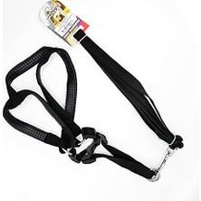Eurodog Köpek Uz.+Göğüs Tasması Siyah 20MMX120CM