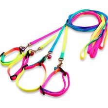 Küçük Irk Köpek Gökkuşağı Renkli Boyun+ Gezdirme Tasma 1X120 cm