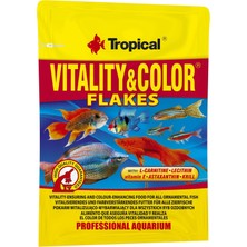 Tropical Vitality Color 12GR