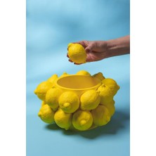 Limon Yatay Silikon Mum Kalıbı
