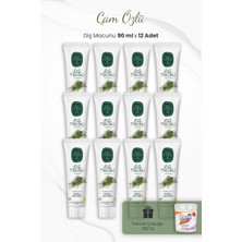 Burada Bulabilirsin Eyüp Sabri Tuncer Çam Özlü Diş Macunu 90 ml x 12 Adet ve Kulak Çubuğu