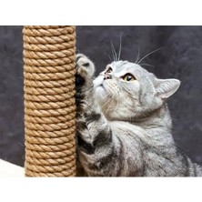 Myg Plus Premium Kalite Kedi Tırmalama Ipi 5 mm Kalınlıkta 25 Metre