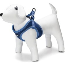 Myg Plus Neopren Köpek Göğüs Tasması, Mavi, M Boy, 41-46 cm Ayarlanabilir