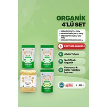 Soul Kitchen Organik Ürünler Organik Rüşeym, Pirinç Unu, İrmik, Tam Yulaf Unu Ek Gıda Seti 4x250 g