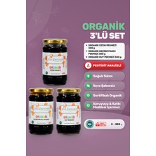 Soul Kitchen Organik Ürünler Organik Üzüm, Keçiboynuzu, Dut Pekmezi Üçlü Ek Gıda Seti 3x380 g