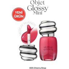 Pratik Ev Nemlendirici Parlak Bitişli Mini Tint Objet Glossy Mini 005 Cherry Drop