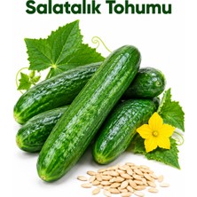 ByKurt Sunagri Süper Beith Alpha Salatalık Tohumu Açık Tarla Yüksek Verimli 5 Gram