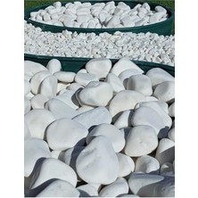 Pratik Ev Dolomit Taş 20 Kg, 6-10 Cm, Beyaz Dolomit Bahçe Taşı, Çakıl Taşı, Saksı Taşı, Akvaryum ve Teraryum Taşı