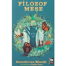 Pratik Ev Filozof Meşe ile Düşünmeyi Öğreten Çocuk Kitabı