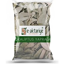 Pratik Ev Okaliptus Yaprağı 100 G