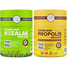 Pratik Ev Kozalak Macunu + Propolis Macunu