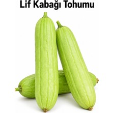 ByKurt Sunagri Lif Kabağı Tohumu Sarılıcı Doğal Lif Yetiştiriciliği 20 Adet