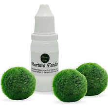 Marimo Scape 3 Adet Marimo (3-5cm) + Marimo Feeder Canlı Bitki Hediye İçin Uygun