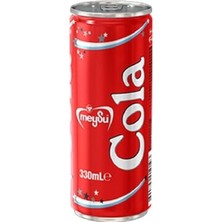 Pratik Ev Cola 330 ml
