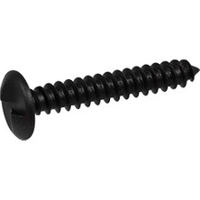 Pratik Ev 230371 Kafes Başlı Tek Yönlü Lag Vidası, 13,7 cm x 2 Inç, 50'li Paket, Siyah