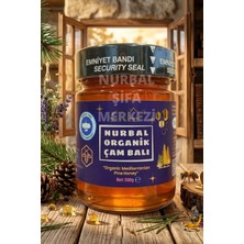 Nurbal Organik Çam Balı 450 gr