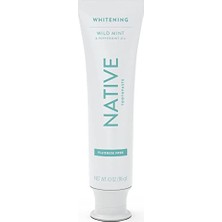 Pratik Ev Doğal Türevli Temizleyicilerden ve Dişleri Güvenle Beyazlatan Basit Malzemelerden Yapılan Doğal Diş Macunu; 4,1 Oz, Yabani Nane Yeşili Florürsüz, 1 Sayısı