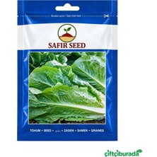 Safir Seed Yedikule 5701 Marul Tohumu 10 G