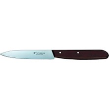 Pratik Ev 5.0700 10 cm Sivri Uçlu Soyma Bıçağı