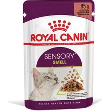 Pratik Ev Sensory Smell Gravy 85 GRX12 Adet Kedi Konservesi