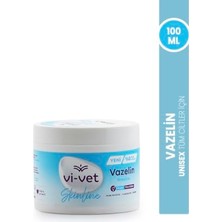 Pratik Ev Vazelin 100 ml