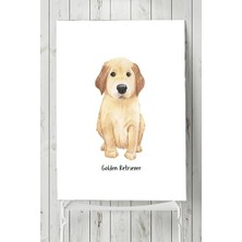 Pratik Ev PSTER4728 Golden Retriever Çocuk Odası Poster (70X100 Cm)